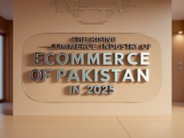 The rising ecommerce industry of pakistan in 2025 0